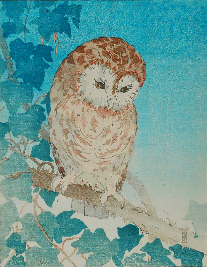 The Tawny Owl - JEAN ARMITAGE - woodcut printed in colors