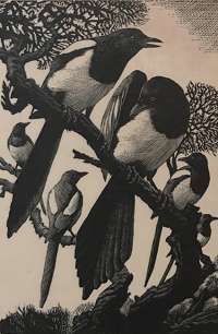 Pica and his Family -  TUNNICLIFFE